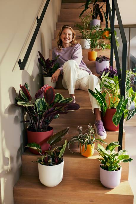 jazz rond 26cm jaune ambré